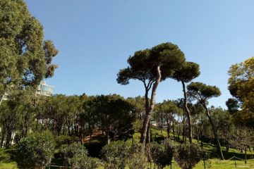 Beyrouth
